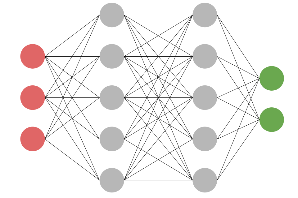 Neuronal Network