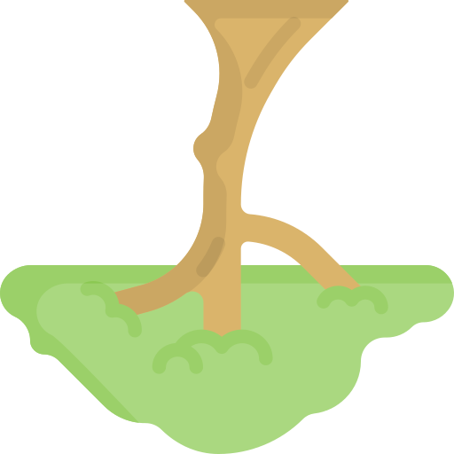 Baum